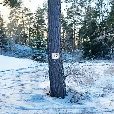 Synligt husnummer från gata